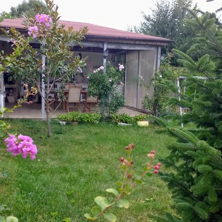 Summer House Village Zone Primorsko Pensión